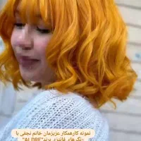 دستیار مبتدی رنگ و مش