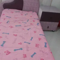 سرویس خواب کودک ونوجوان|تخت و سرویس خواب|شاندیز, |دیوار