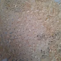 برنج بکیان کامفیروز|خوردنی و آشامیدنی|مرودشت, ثبت احوال|دیوار