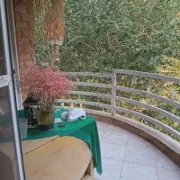 اجاره آپارتمان بررودخانه / جاده میگون/ اوشان ویلا