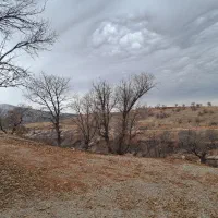 زمین-باغ-تنگ-سریز-15-کیلومتری-یاسوج