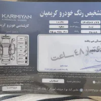 ۲۰۷ پانا مدل۱۴۰۰ مشابه خشک|خودرو سواری و وانت|شاهرود, |دیوار