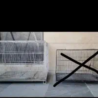 قفس بزرگ  با وسایل کامل