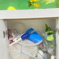 آکواریوم|ماهی|تهران, صادقیه|دیوار