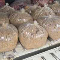 غذاپخته شده سگ وگربه|لوازم جانبی حیوانات|رشت, بلوار گیلان|دیوار