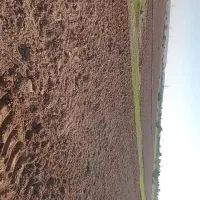 12-هکتار-زمین-آبی-با-چاه-اختصاصی-6-اینج