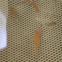 ماهی|ماهی|الوند, |دیوار