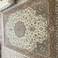 فرش ۱۲ متری مشهد دستباف نما|فرش|تهران, آشتیانی|دیوار