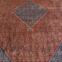 فرش بیجار ۱۲متری انتیک|فرش|دماوند, دماوند|دیوار