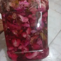 ترشی خونگی|خوردنی و آشامیدنی|قم, باجک دو|دیوار