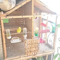 قفس چوبی دست ساز ، طرح کلبه درحد