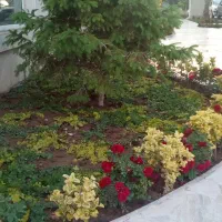 باغبانی وهرس کردن گلکاری شخم زدن تمام نقاط شهر