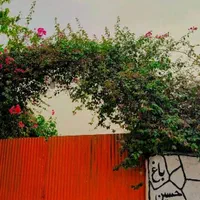 ویلا باغ
