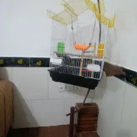 قفس پرنده با تمام تجهیزات