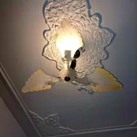 یک جفت لوستر ۳ شاخه سالم سالم|لوستر و چراغ آویز|نجف‌آباد, سعدی|دیوار