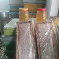 تولیدعسل کاملاارگانیک وطبیعی