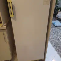 یخچال ۱۰ فوت ازمایش