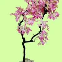 درختچه های شکوفه زیبا