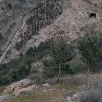 نیازمند نگهبان زن و شوهر بدون فرزند