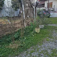 فروش ویلای 90 متری در اطراف شفت|فروش خانه و ویلا|احمدسرگوراب, |دیوار