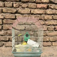 قفس و کیف پرنده|لوازم جانبی حیوانات|تهران, افسریه شمالی|دیوار