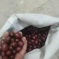 عناب خشک