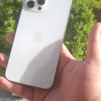 iphone 12pro max|موبایل|شیراز, زرهی|دیوار