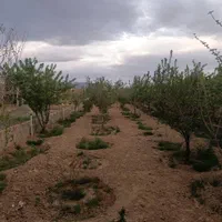 باغ کهریزسنگ بهترین لوکیشن خیابان گل مینا۱۳۱۷متر|فروش خانه و ویلا|نجف‌آباد, کهریزسنگ|دیوار