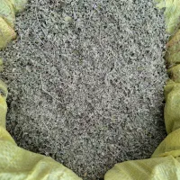 آویشن استهبان