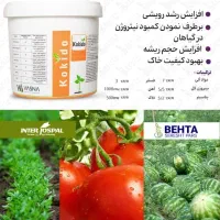 درخواست منشی