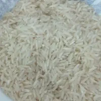 کشت دوم برنج فوق‌العاده ۲۸۵ت سرلاشه ۱۷۵ هاشمی