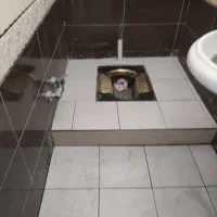 تشخیص ترکیدگی لوله آب با دستگاه فوجی دقیق نقطه زن|خدمات پیشه و مهارت|ایلام, |دیوار