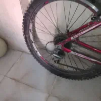 دوچرخه ویوا اصلی|دوچرخه، اسکیت، اسکوتر|مریوان, |دیوار