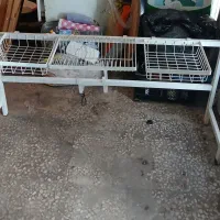 ابچکان ایستاده