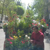 خدمات تخصصی باغبانی و فضای سبز|خدمات باغبانی و درختکاری|تهران, دروس|دیوار