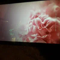 تبلت ایسوزرمموری خورسالم