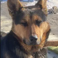 چندروزپیش‌گم‌شده۱۰میلیون‌مژدگانی‌‌‌‌‌تقدیم‌میکنم