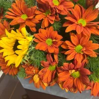 باکس گل جذاب|گل و گیاه طبیعی|مشهد, هنرستان|دیوار