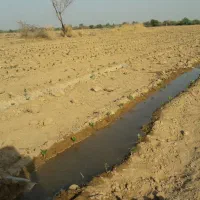 فروش ۳ هکتار باغ لوبیاچشم بلبلی