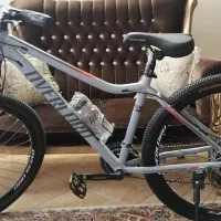 دوچرخه اورلورد سایز29