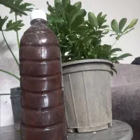 گیاهی|آرایشی، بهداشتی، درمانی|بم, |دیوار