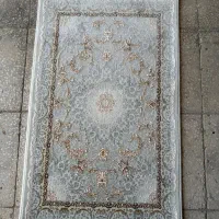 فروش پادری ب قیمت عمده در بندر عباس|پادری|بندرعباس, |دیوار
