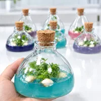 تراریوم هدیه ای لوکس و بی نظیر