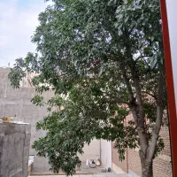 زیرزمین‌‌برباکری‌۷۰متر