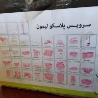 سرویس لیمون ۵۸ تیکه رنگ نسکافه ای آکبند