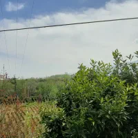 ۳۰۰۰ متر زمین دارای ویلا در منطقه اعیانی واجارگاه|فروش زمین و ملک کلنگی|واجارگاه, |دیوار