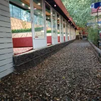 استخدام   همکار خانم  و اقا