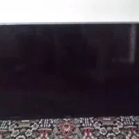 تلویزیون
