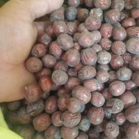 عناب جگری امسالی وزرشک پفکی امسالی