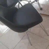 وسایل سالن آرایشگاهی|آرایشگاه و سالن‌های زیبایی|سنندج, |دیوار